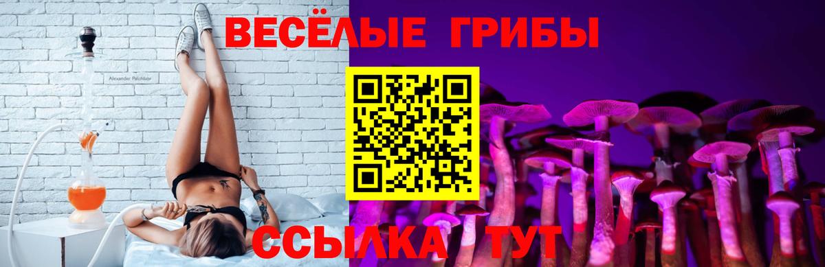 Псилоцибиновые грибы Magic Shrooms Санкт-Петербург